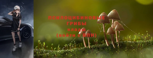 прущая мука Липки