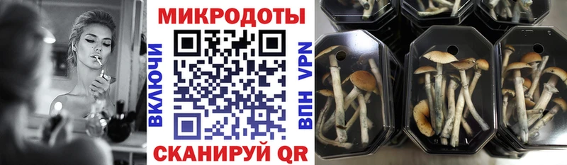 Купить закладки Усмань Псилоцибиновые грибы Psilocybe