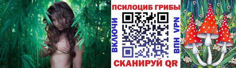 Галлюциногенные грибы прущие грибы Усмань