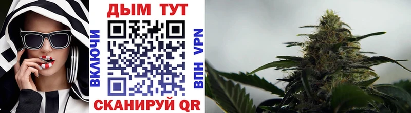 Каннабис сатива Купить Усмань